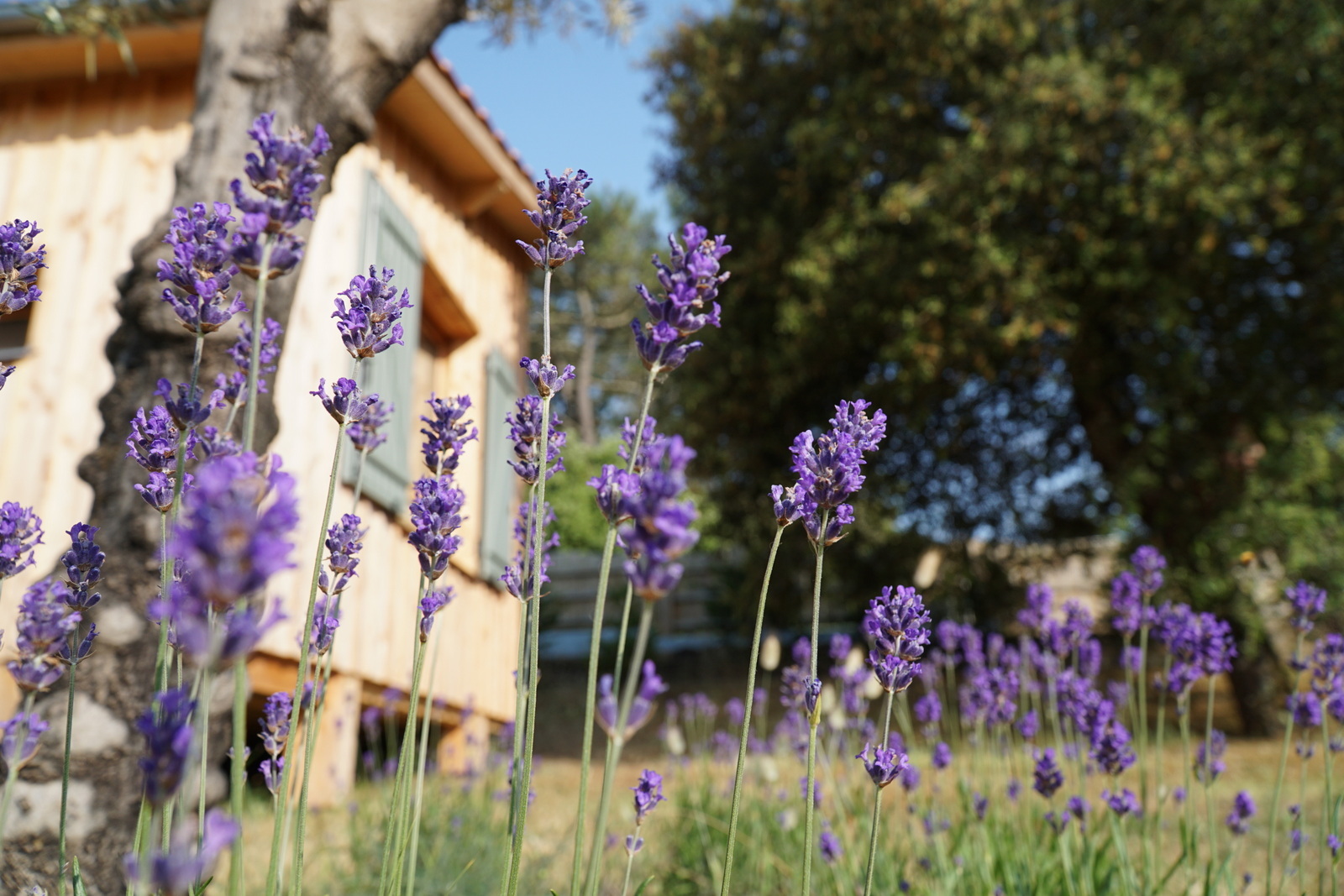 tiny house à soulac