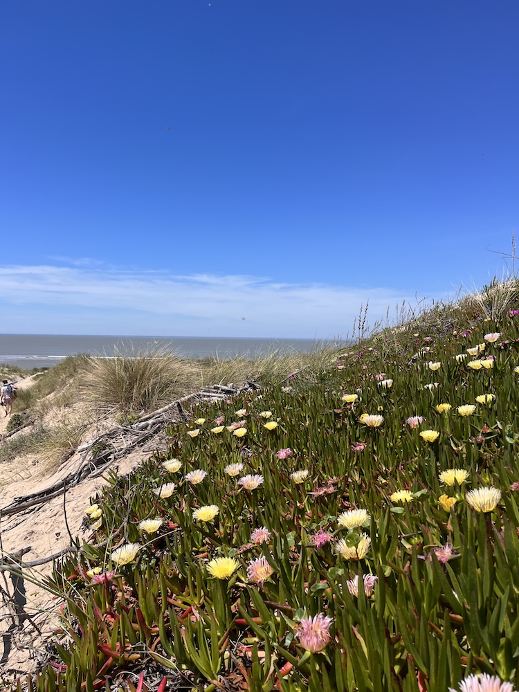 Plage sauvage et piscines naturelles à Soulac-sur-Mer